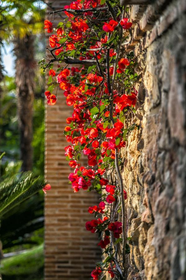Cubo's Huerta Del Conde Málaga